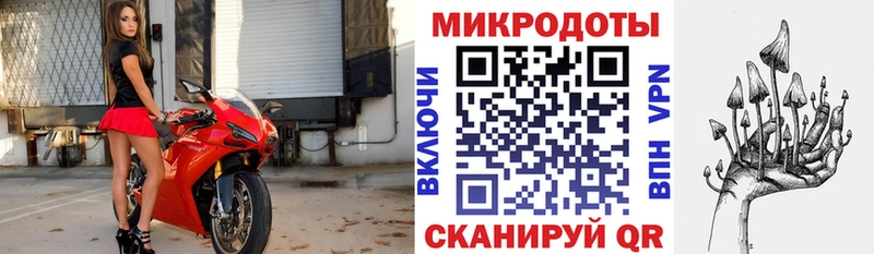 наркотики  Артёмовск  Псилоцибиновые грибы MAGIC MUSHROOMS 